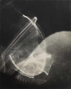 "Untitled" 1967
